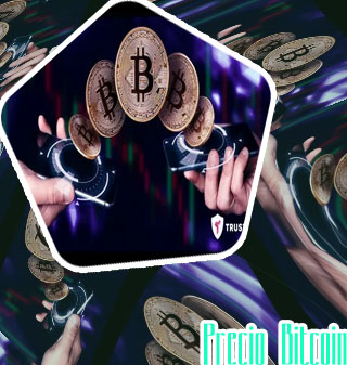 Precio bitcoin cuando salio