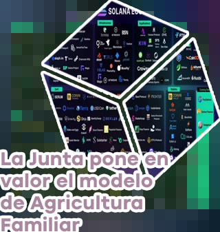 Solana valor